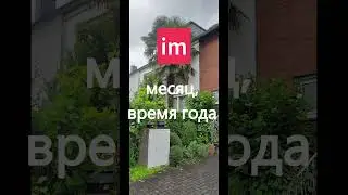Um, Am, Im. Предлоги указания времени, части дня, дни недели месяца времени года Экзамен A1 #deutsch
