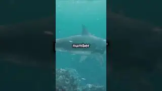 top 5 most powerful animals in the world,animal knowledge club, short#animal viral short# invideo.ai