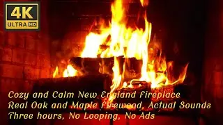 Cozy, Calm New England Fireplace, Ultra High Def 4K, 3 hours, Real oak and maple, No looping, no ads