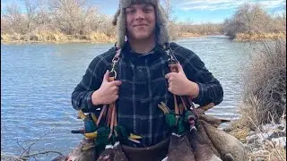 Bighorn waterfowl 2022
