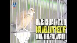 INVASI KE LUAR KOTA, BRANJANGAN JAVA 