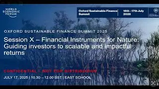 OxSFS 2025 | Session X &ndash; Financial instruments for nature