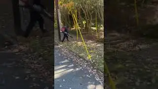 Clean Ups!
