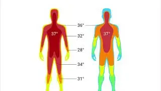 El ser vivo M&Aacute;S RESISTENTE al calor que existe, Geogemma barossii - DOCUMENTAL