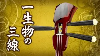 八重山黒木製三線 真壁型 〜 本張り(一枚張り) ～鷲の鳥節