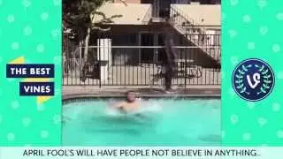 ULTIMATE Splack 19 Vine Compilation NEW FUNNY Vine Videos 2015