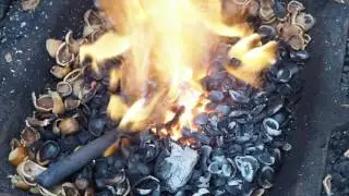 Going nuts! &ndash; forging with nutshells
