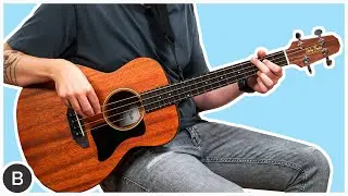 THE PERFECT TRAVEL ACOUSTIC BASS !!