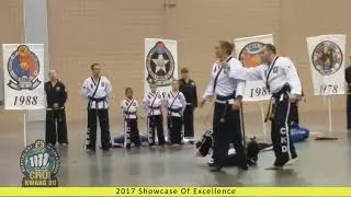 Choi kwang do Demo team 2017