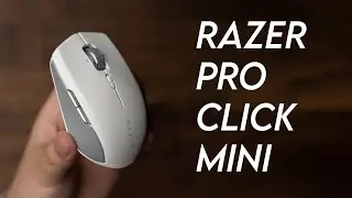Обзор Razer Pro Click Mini &mdash; фантастическая мышь WFH