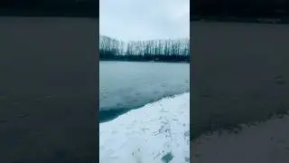 Cold day ❄️#subscribemychannel #like #explore #photography #nature #birds #turkey  #world #shorts