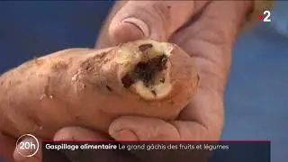 Gaspillage alimentaire : pour limiter le g&acirc;chis, des entreprises transforment les invendus