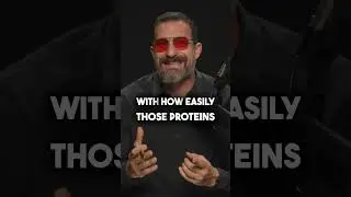 Andrew Huberman on Bone Broth Protein vs  Whey Protein  Exploring the Health Advantages #protein