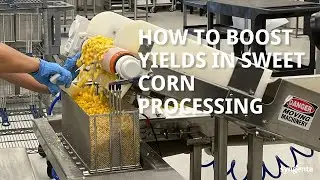 How to Boost Yields in Sweet Corn Processing