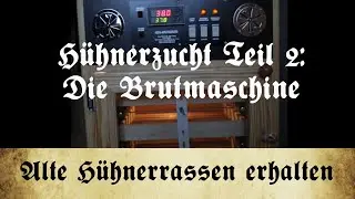 Zucht alter Hühnerrassen - Teil 2: Die Brutmaschine