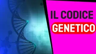 Come funziona il codice genetico 🔬