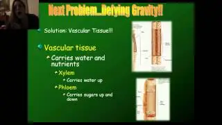 YouTube Lec: Evolution of Plants!!!!