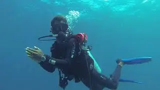 Dive Safety Stop 🤿 👍👌