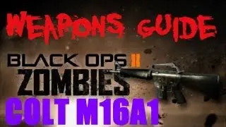 BO2 Zombies Colt M16A1 / Skullcrusher Weapons Guide