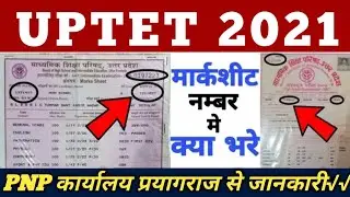UPTET 2021 मार्कशीट नम्बर में क्या भरे, UPTET Marksheet number क्या होता हैं,टेट मार्कशीट नम्बर जाने