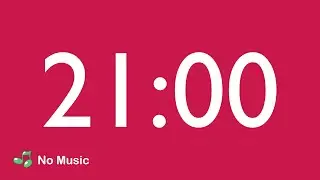 21 Minute Countdown Timer