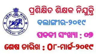 Job Vacancy For Trained Teacher At Balangir-Odisha-FEb-2019