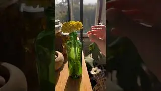 Greek foraged herbs intention bottle