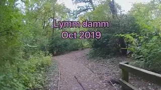 lure fishing for perch + pike on lymm dam