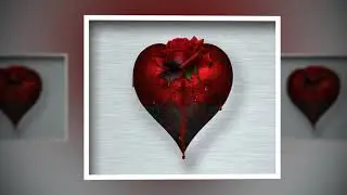Foo Fighters - Chasing Birds