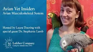 Avian Vet Insider 18: The Avian Musculoskeletal System