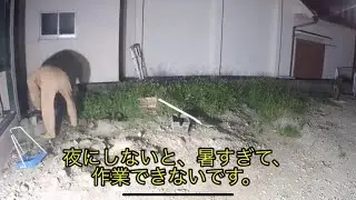 ガレージ、倉庫の前の草抜き　ＤＩＹ　＃１