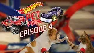 HOT WHEELS VOLTAGE SPIKE, DAWGZILLA, & ARISTO RAT BITE THE DUST | Pet Prix | Episode 4 | @HotWheels