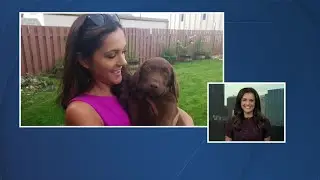 Stores offering National Dog Day deals Tuesday