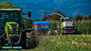 ⭐SILIRANJE KORUZE || SILAGE VON MAIS || HOČNIKAR 🌾2022 ✔