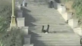 Farciarz roku !!!!