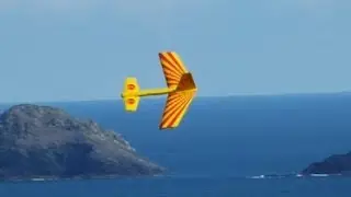 Forward Sweep wing Canard. Experimental RC Sloper.