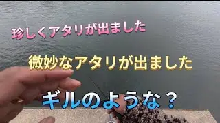 2026.1.27久しぶりにアタリが出ました！宇治川ブラックバス釣り！