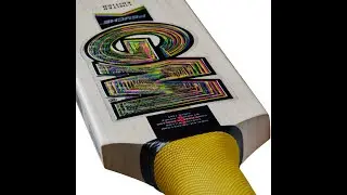 GM Psyche Cricket Bats 2025 - Profile Review