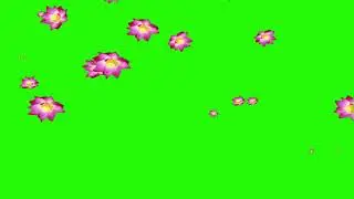 Flower Animation Green Screen Background Effect || Green Screen Flowers Sprinkles || Art By Harsh