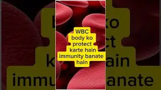 Human Blood &ndash; 5 Basic Facts | RBC, WBC, Platelets Explained in Simple Way #shorts