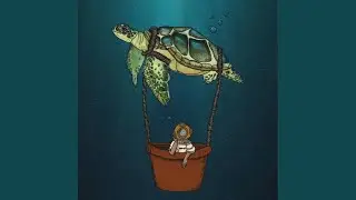 Tortuga de Mar