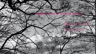 EIshin Nose Solo at Hariusu N-038, 2023/2/26