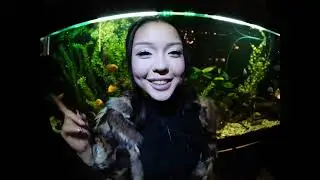Tenli - Bounce  (Music Video) feat.BALLER