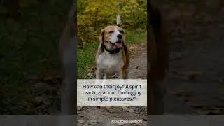 The Beagle's Guide to Animal Behaviour and Life Lessons! #BeagleJoy#AnimalBehaviorTips #lifelessons