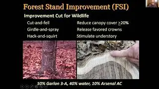 Forest Stand Improvement for Wildlife- Dr. Craig Harper- Episode 5