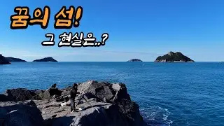 인생 물고기를 잡을수 있다는 외딴섬 추자도! 회 한점에 얼마짜리야?!