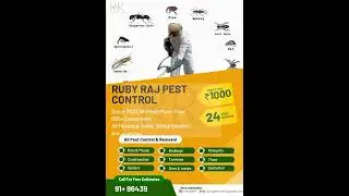 All Pest Control Services available Contact US 9643975337 #shorts #pestcontrol #trending