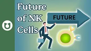 What is the future of natural killer (NK ) cells? #myeloma