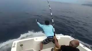 Sensasi mancing ikan marlin