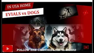 Dogs Evils in USA Home | 2 Dog Protect Your Family